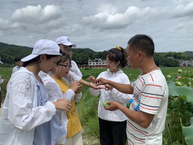 隊員參觀蓮子生產(chǎn)基地。福建船政交通職業(yè)學(xué)院供圖